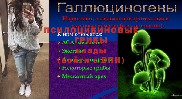 гашик Балахна