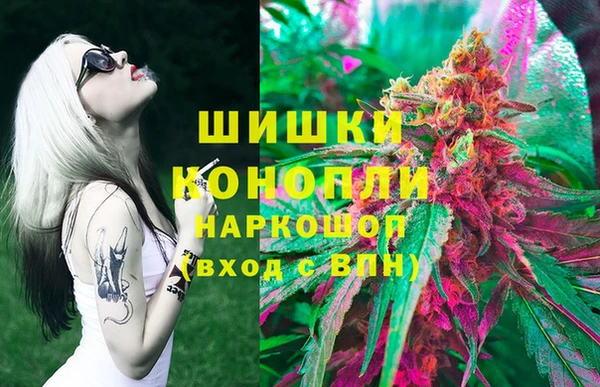 гашик Балахна