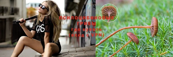 гашик Балабаново