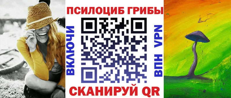 ОМГ ОМГ ССЫЛКА  Черняховск  Псилоцибиновые грибы Magic Shrooms 